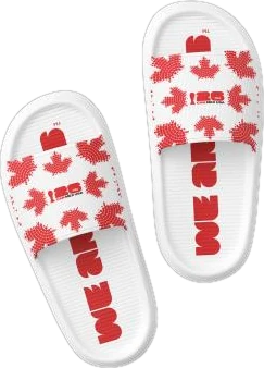 FIFA World Cup 26™ slides, Canada edition
